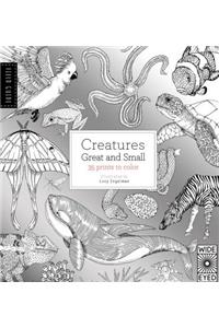 Field Guide: Creatures Great and Small