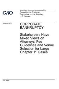 Corporate bankruptcy, stakeholders have mixed views on attorneys' fee guidelines and venue selection for large Chapter 11 cases