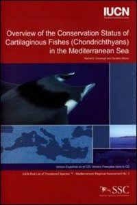 Overview of the Conservation Status of Cartilaginous Fishes (chondrichthyans) in the Mediterranean Sea