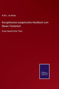 Kurzgefasstes exegetisches Handbuch zum Neuen Testament