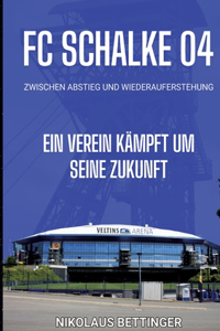 FC Schalke 04 - Zwischen Abstieg und Wiederauferstehung