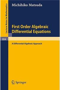 First Order Algebraic Differential Equations