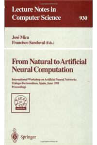 From Natural to Artificial Neural Computation