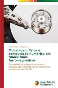 Modelagem física e computação numérica em filmes finos ferromagnéticos