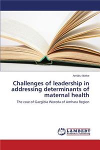 Challenges of leadership in addressing determinants of maternal health