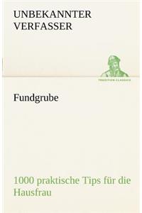 Fundgrube - 1000 Praktische Tips Fur Die Hausfrau