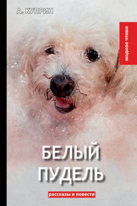 Белый пудель