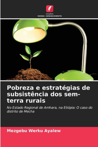 Pobreza e estratégias de subsistência dos sem-terra rurais