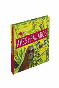 Aves y Pajaros