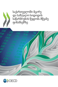 საქართველოში მცირე და საშუალო სიდიდის საწ