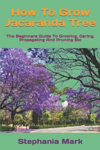 How To Grow Jacaranda Tree