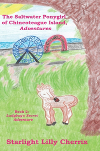 Ladybug's Secret Adventure