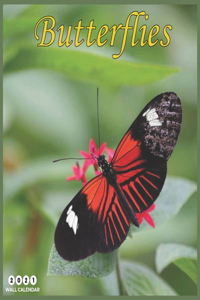 Butterflies 2021 Wall Calendar