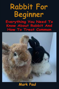 Rabbit For Beginner