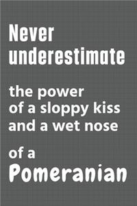 Never underestimate the power of a sloppy kiss and a wet nose of a Pomeranian