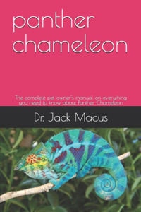 panther chameleon