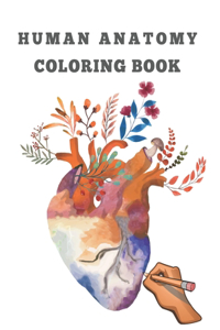 Human Anatomy Coloring Book