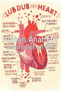 Human Anatomy Activity Book for Kids