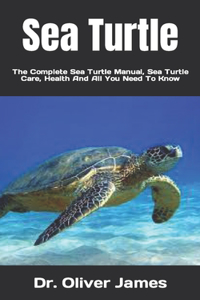 Sea Turtle