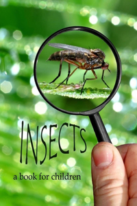 Insects - a book for children