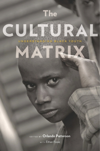 Cultural Matrix