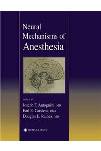 Neural Mechanisms of Anesthesia