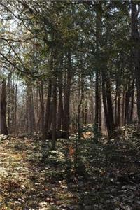 Spring Forest Notebook