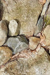 School Composition Book Different Size Rocks