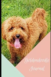 Goldendoodle Journal