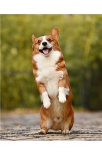 CORGI Composition Notebook
