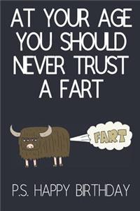 At Your Age You Should Never Trust A Fart: Funny Novelty Birthday Gifts / Cards for Him, Dad, Brother: Paperback Notebook (Birthday Card Alternative)