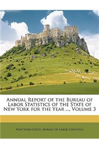 Annual Report of the Bureau of Labor Statistics of the State of New York for the Year ..., Volume 3