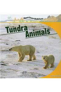 Tundra Animals