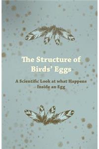 Structure of Birds' Eggs - A Scientific Look at what Happens Inside an Egg