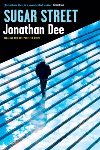 Untitled Jonathan Dee Book 2