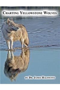 Charting Yellowstone Wolves