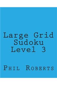 Large Grid Sudoku Level 3