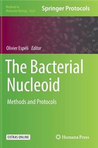 Bacterial Nucleoid