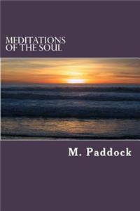Meditations of the Soul