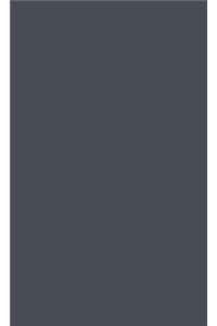 The Robotic Imaginary