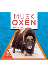 Musk Oxen
