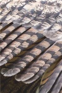 Eagle Feathers Journal