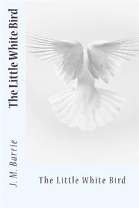 The Little White Bird