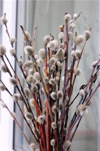 Enchanting Pussy Willow Stems Spring Journal