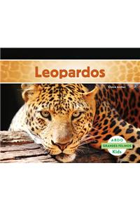 Leopardos (Leopards) (Spanish Version)