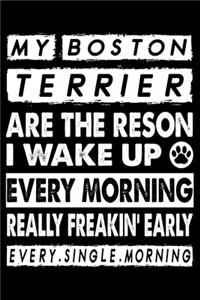 My Boston Terrier Are The Reason I Wake Up Every Morning Really Freakin. Early Every.Single.Morning.