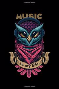 Music Is My Life, Funny Cool Owl Design Music Sheet Souvenir Gift