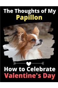 The Thoughts of My Papillon