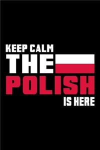 Poland Flag Notebook: Beautiful Poland Flags Notebook with 120 squared Pages in Trim size 15,24 x 22,86 cm (6" x 9")