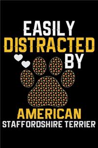 Easily Distracted by American Staffordshire Terrier